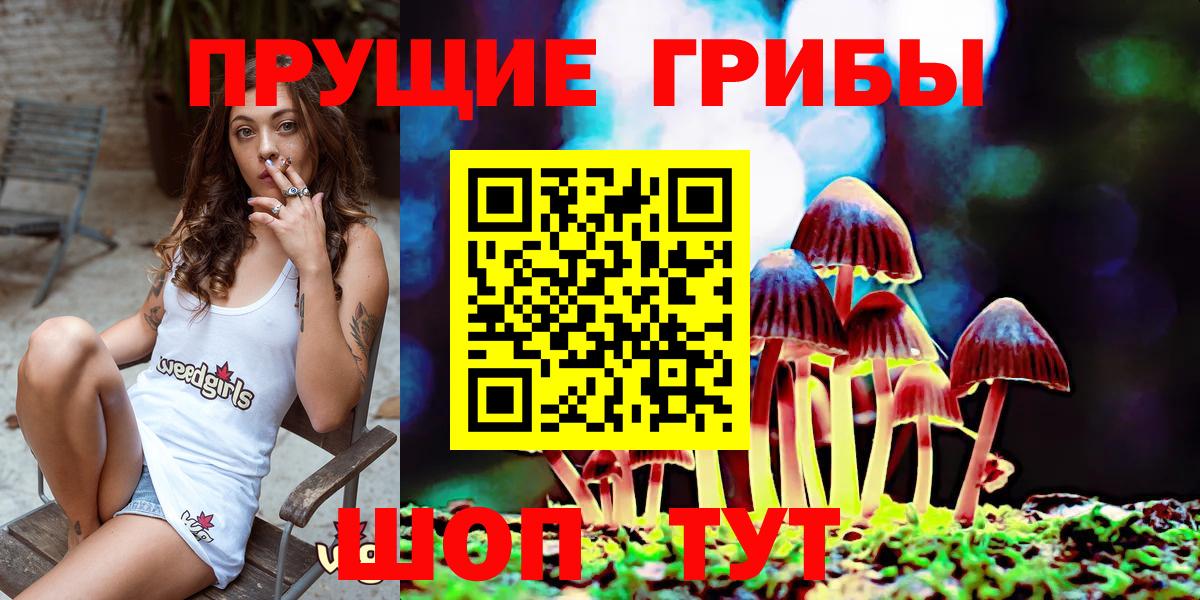 Псилоцибиновые грибы Psilocybe  Вход с VPN  Гудермес 